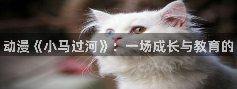 囧次元app官方下载