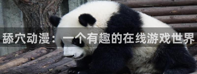 囧次元动漫