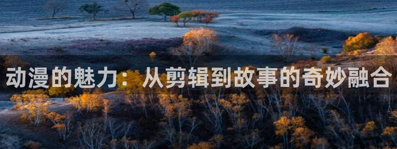 囧次元官方正版app下载最新版本