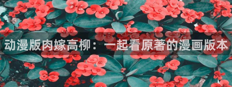 囧次元官方网页入口