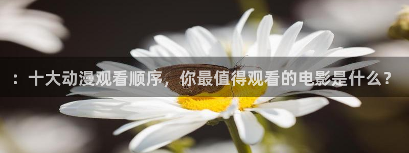 囧次元在线