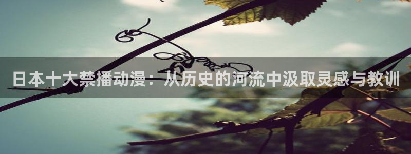 囧次元app最新版