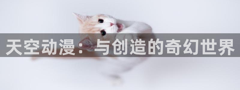 囧次元app官方版下载