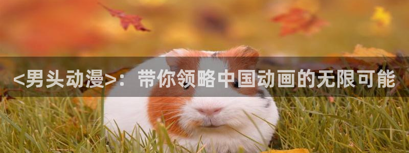 囧次元网页版入口