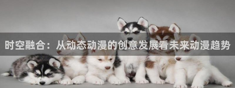 囧次元新版本下载