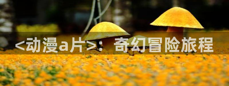 囧次元app下载官网最新版本