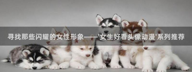 囧次元新版下载