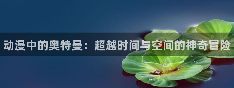 囧次元官方网站入口安卓版