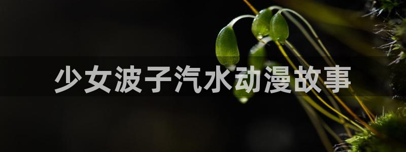 囧次元下载官方正版最新版