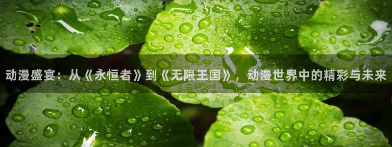 囧次元正版入口