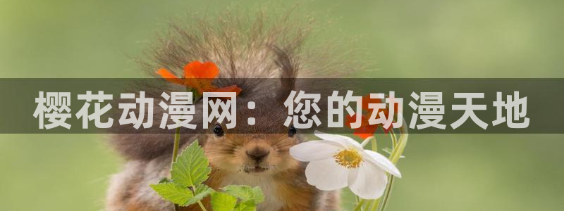 囧次元官网网址最新