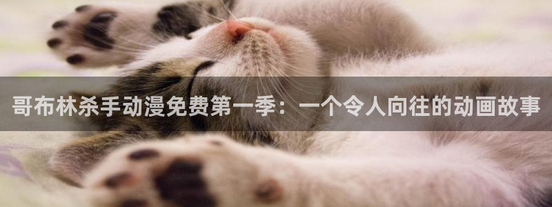 囧次元为什么打不开了