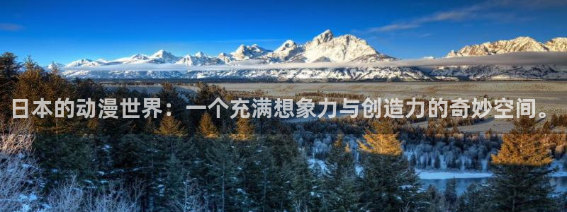 囧次元官方网站网址